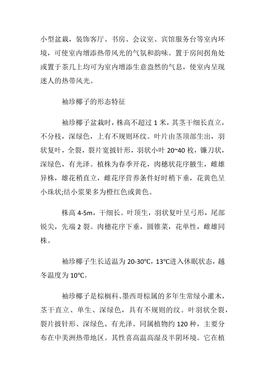 袖珍椰子花语及生态习性介绍.docx_第2页