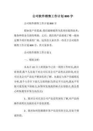 公司软件销售工作计划800字.docx