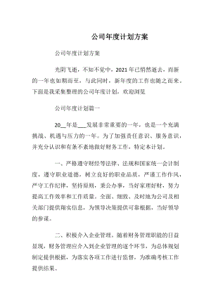 公司年度计划方案.docx