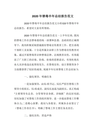 2020年禁毒半年总结报告范文.docx