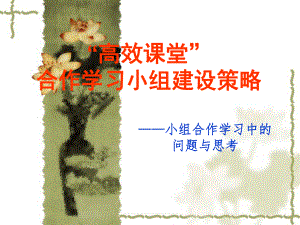 小组合作学习2.ppt