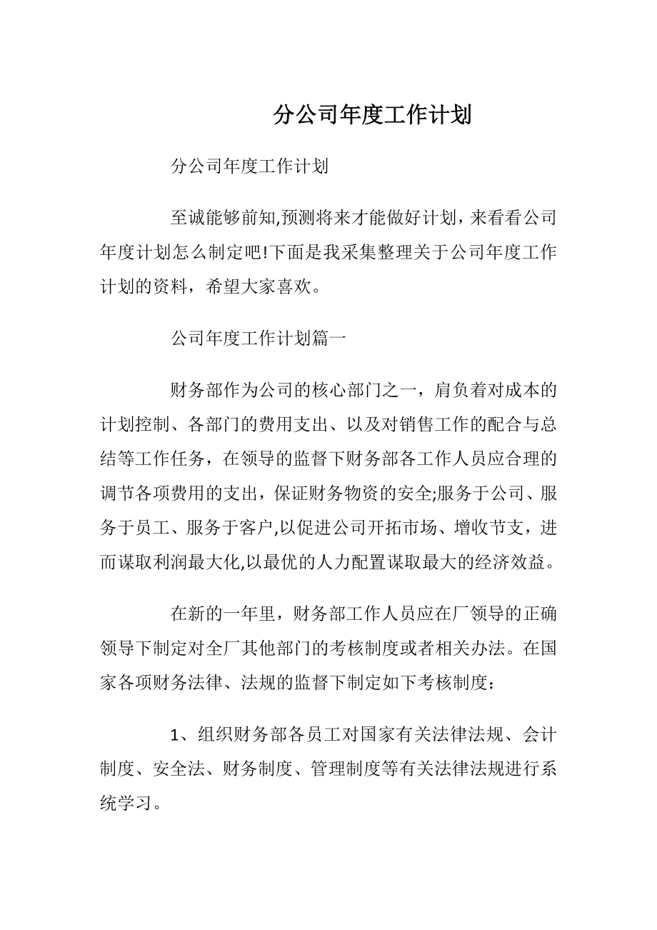 分公司年度工作计划.docx_第1页