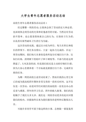 大学生青年志愿者服务活动总结范文.docx