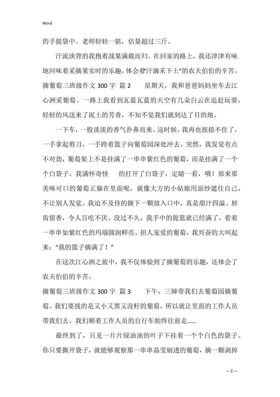 关于摘葡萄三年级作文300字五篇（摘葡萄三年级作文三百字）.docx_第2页