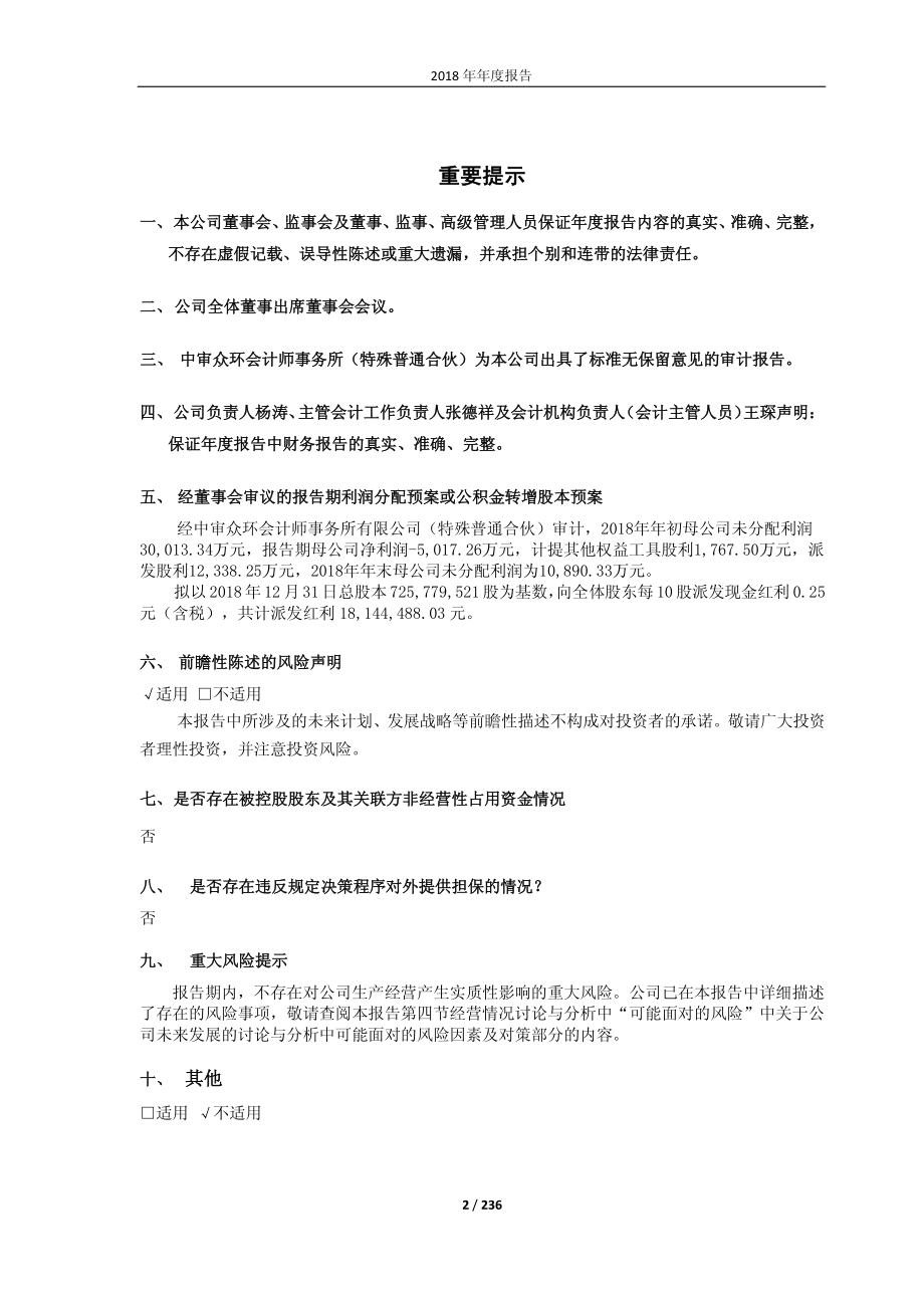 东湖高新：2018年年度报告.PDF_第2页