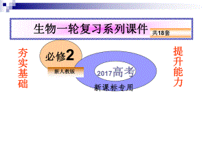 高考生物一轮复习-DNA分子结构的主要特点ppt课件.ppt