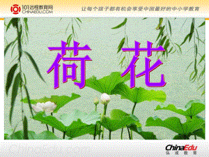 苏教版小学三下《荷花》课件.ppt