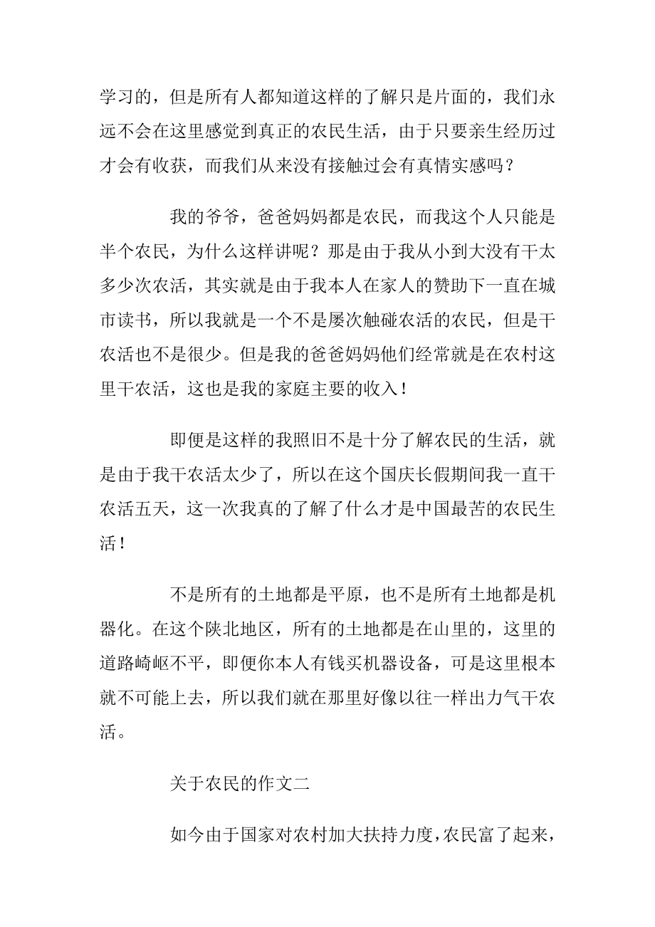 可爱的农民简笔画教程步骤图片.docx_第2页