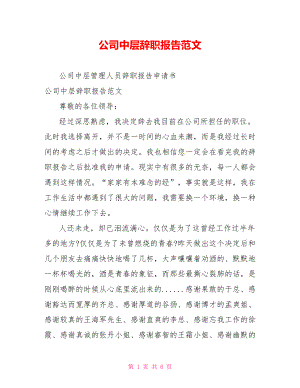 公司中层辞职报告范文.doc