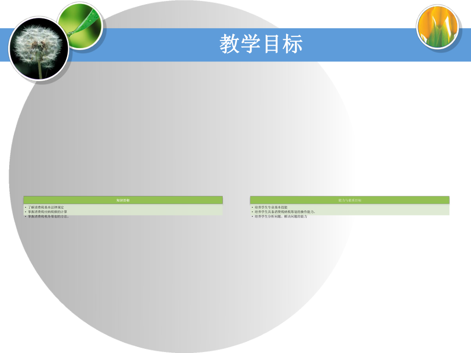 XX消费税税务筹划.pptx_第2页