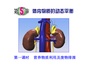 第5节体内物质的动态平衡（第一课时）.ppt
