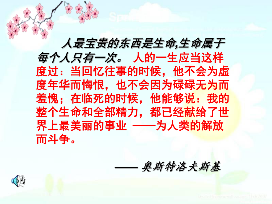 让生命之花绽放(公开课).ppt_第2页