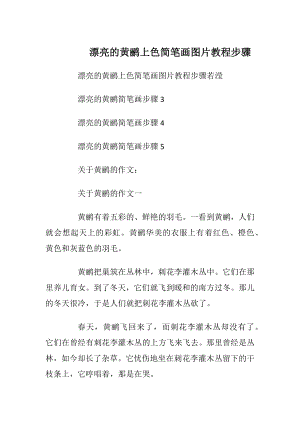 漂亮的黄鹂上色简笔画图片教程步骤.docx