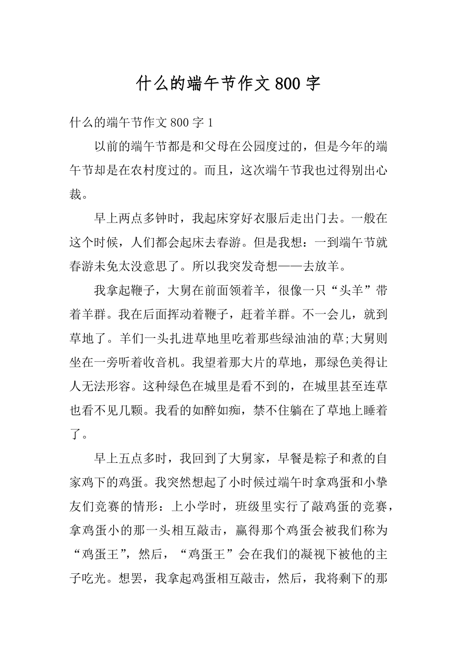 什么的端午节作文800字例文.docx_第1页