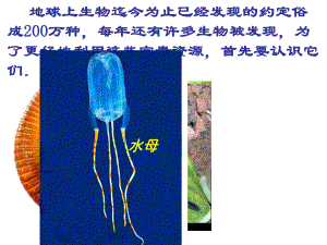 苏科版生物七下第14章生物的命名和分类第1节生物的命名和分类第1课时.ppt