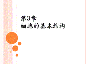 细胞膜—系统的边界.ppt