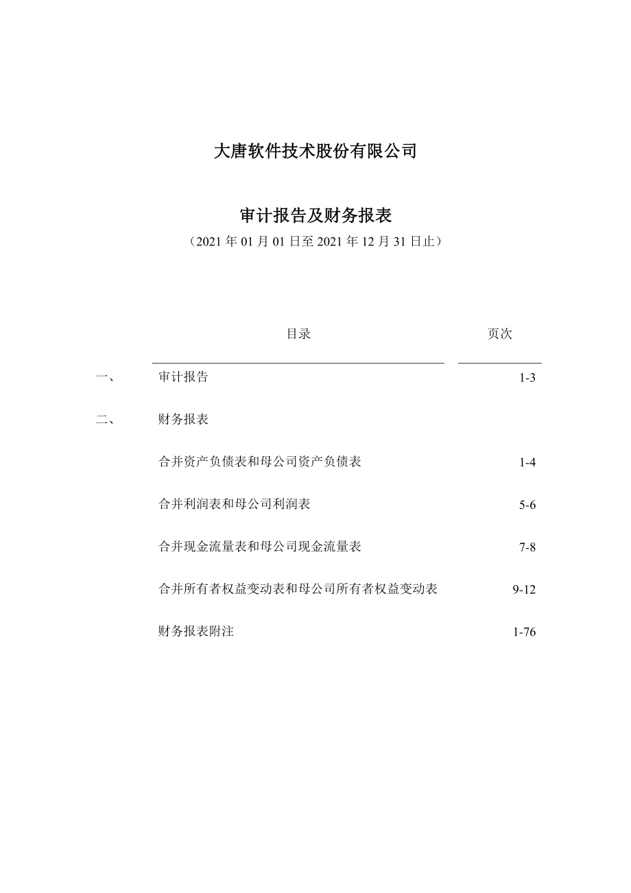 大唐电信：大唐软件技术股份有限公司审计报告.PDF_第2页