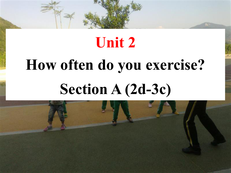 新目标Go+for+it版+八年级上+Unit+2+How+often+do+you+exercise_+Section+A（2d~3c）（共19张PPT）.ppt_第1页