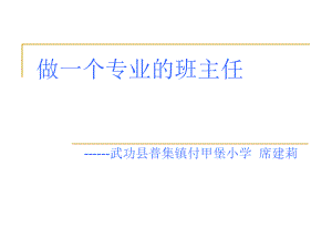 《做一个专业的班主任》经典摘抄.ppt