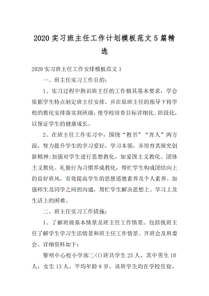 2020实习班主任工作计划模板范文5篇精选优质.docx