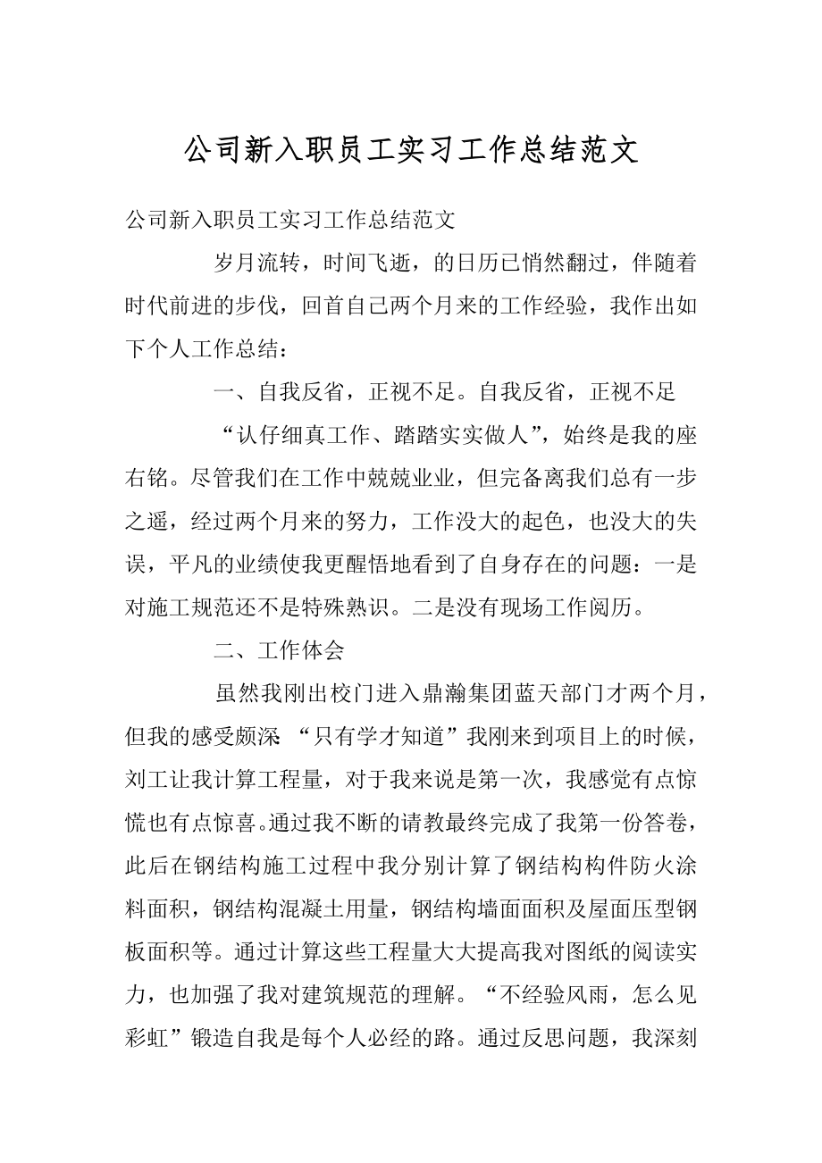 公司新入职员工实习工作总结范文精品.docx_第1页