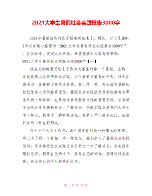 2021大学生暑假社会实践报告3000字.doc