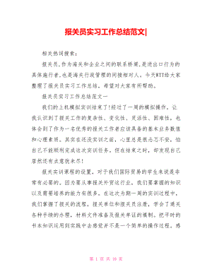 报关员实习工作总结范文-.doc