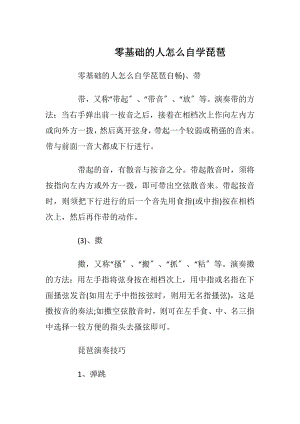 零基础的人怎么自学琵琶.docx