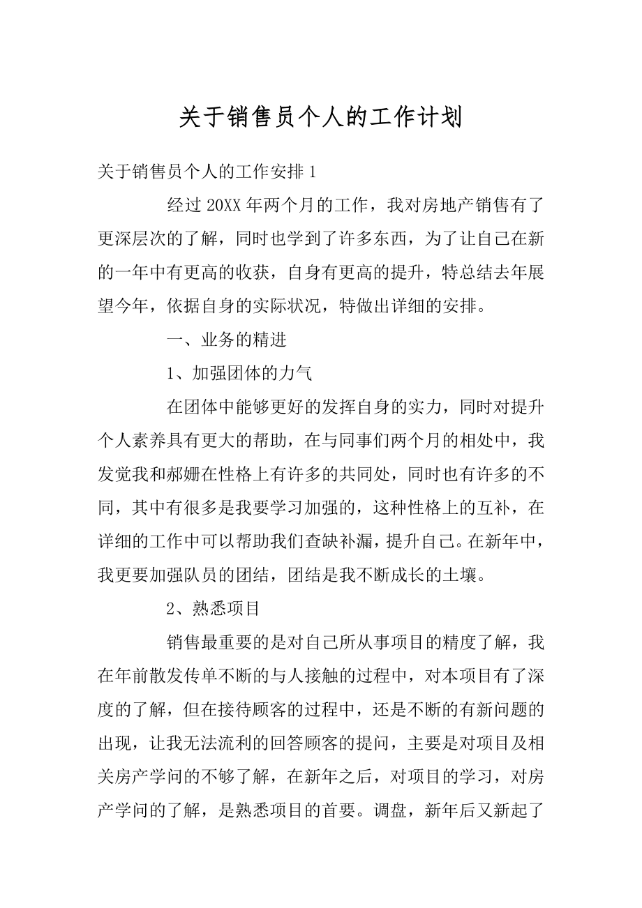 关于销售员个人的工作计划例文.docx_第1页