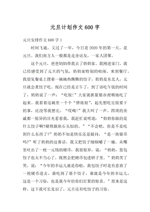 元旦计划作文600字优质.docx