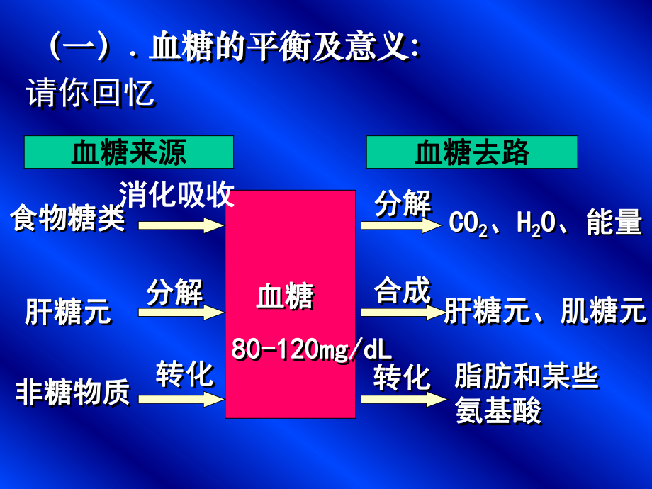 血糖的调节huang.ppt_第2页