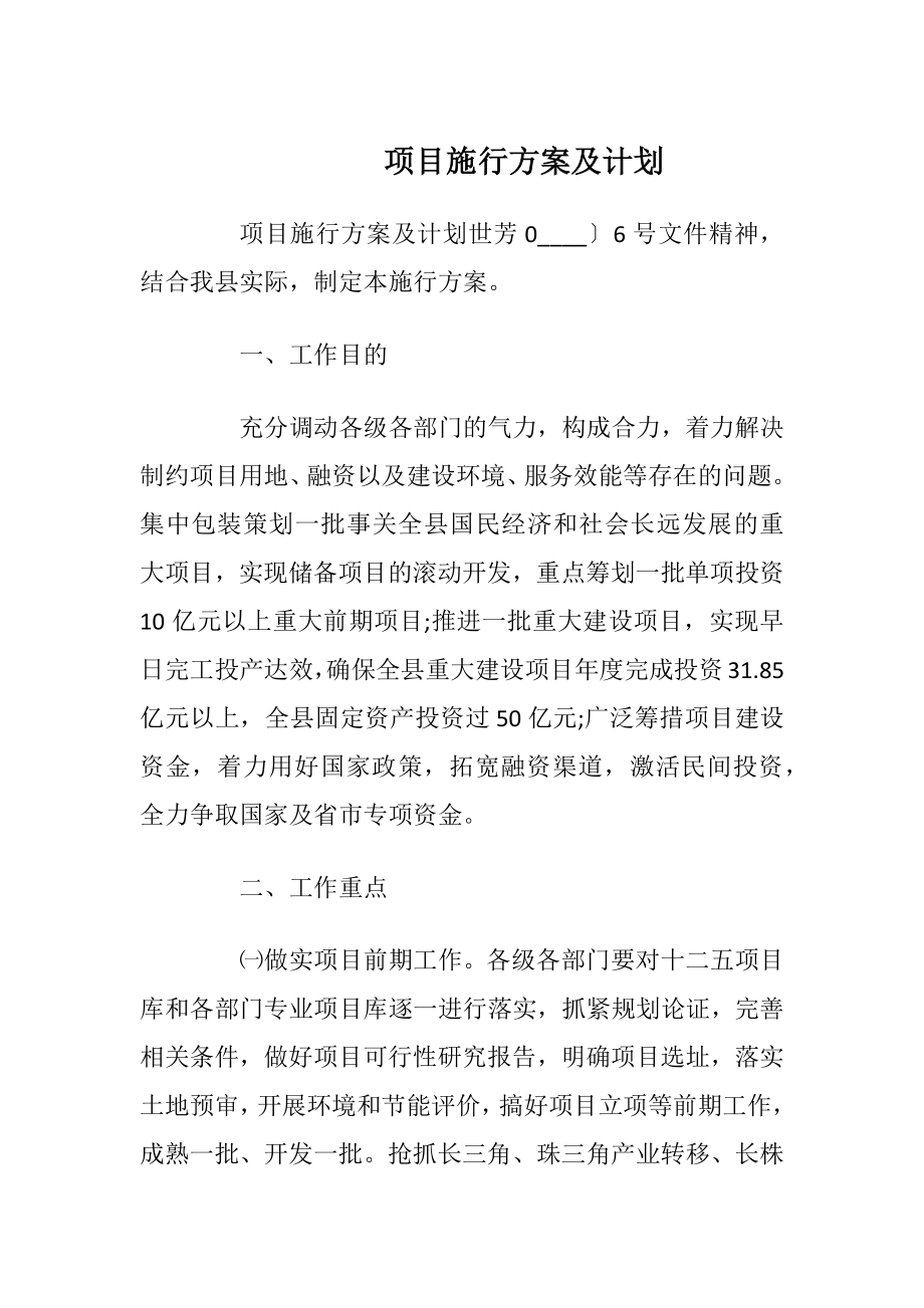 项目施行方案及计划.docx_第1页