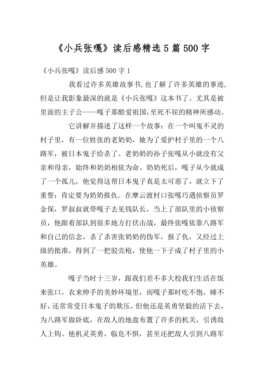 《小兵张嘎》读后感精选5篇500字范文.docx_第1页