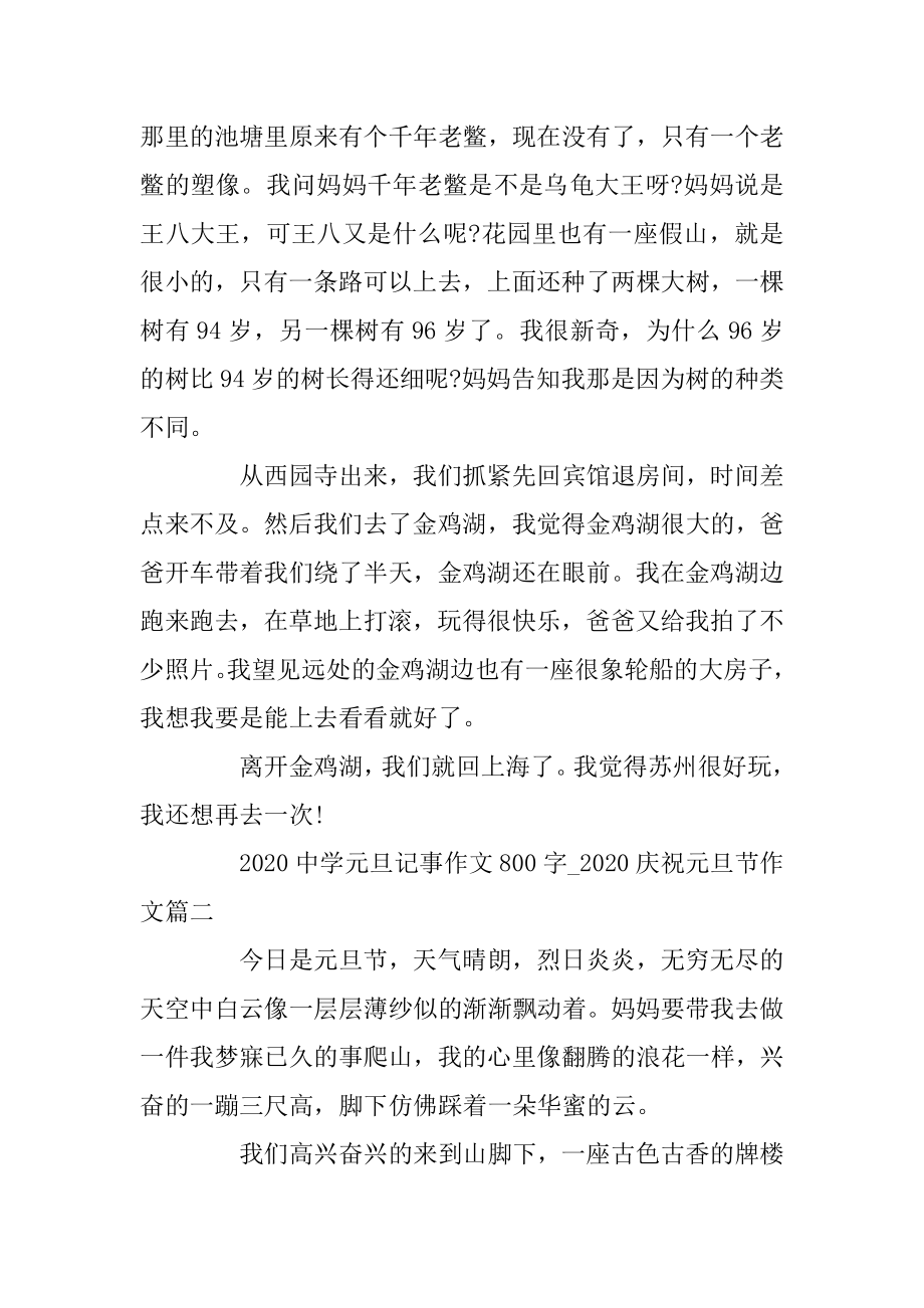 2020高中元旦记事作文800字_2020庆祝元旦节作文三篇最新.docx_第2页