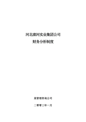 河北滦河实业集团公司财务分析制度.docx