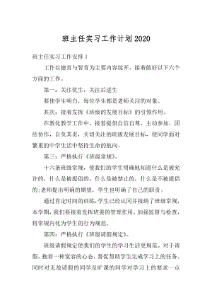 班主任实习工作计划范例.docx