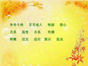 花钟教学PPT课件.ppt