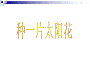 《种一片太阳花》教学课件.ppt