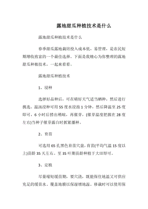 露地甜瓜种植技术是什么_1.docx