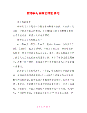 教师实习自我总结怎么写-.doc