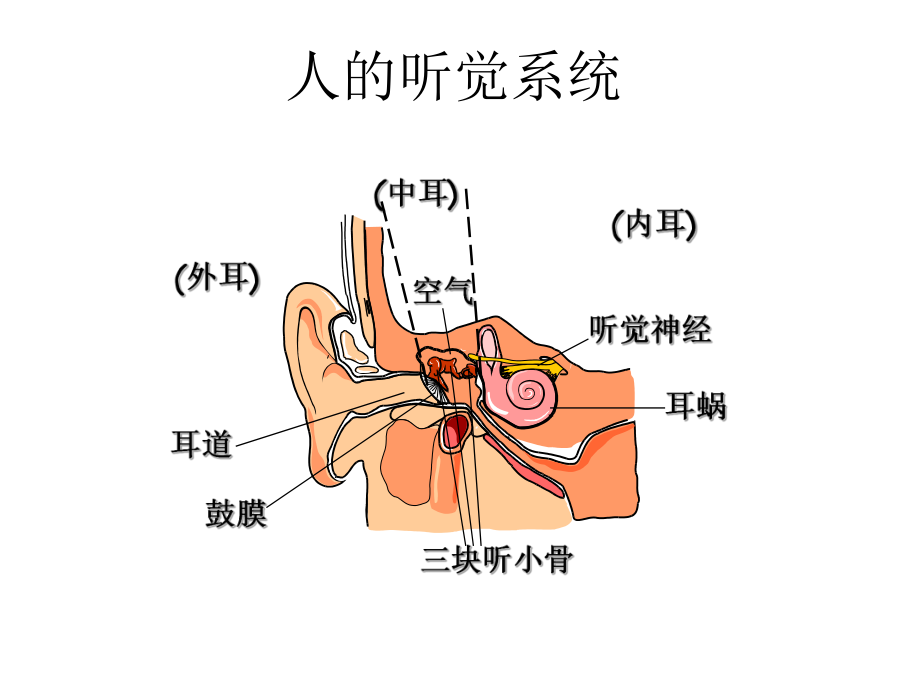 噪声的危害及防护措施培训PPT课件.ppt_第1页