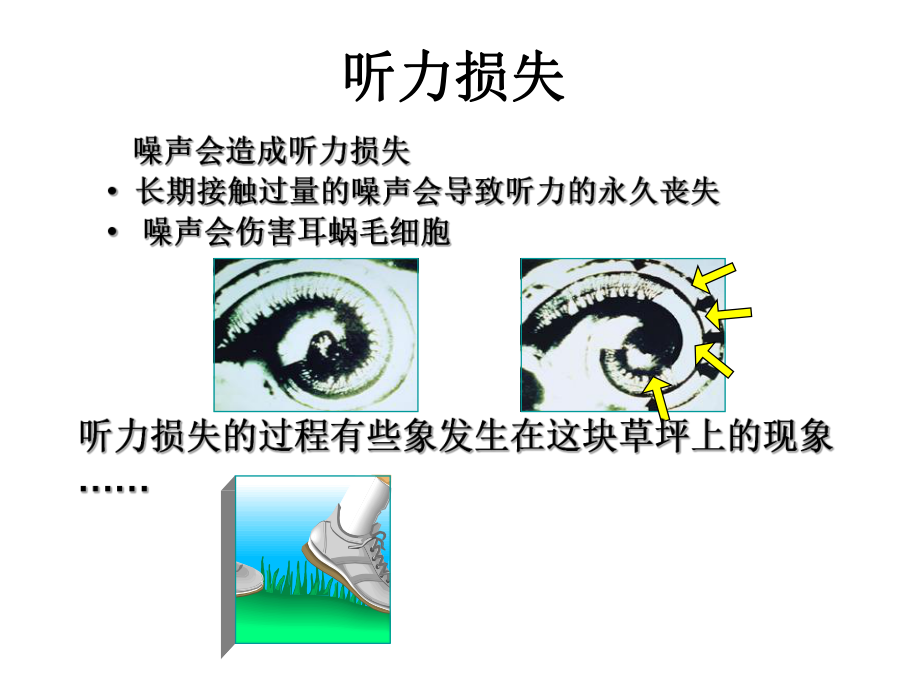 噪声的危害及防护措施培训PPT课件.ppt_第2页