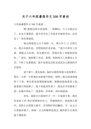 关于六年级暑假作文500字素材范文.docx