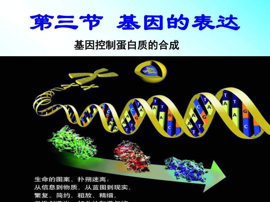 基因的表达、基因对性状的控制ppt课件.ppt_第1页