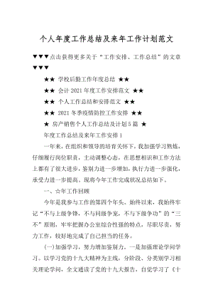 个人年度工作总结及来年工作计划范文范例.docx