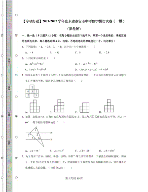 【专项突破】2021-2022学年山东省泰安市中考数学模拟试卷（一模）（含答案解析）.docx