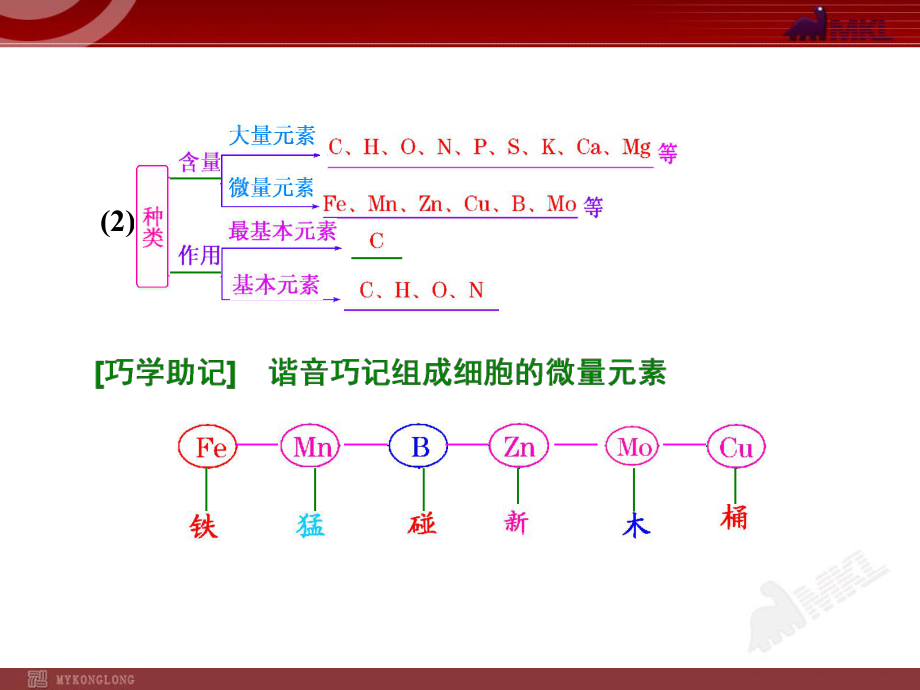 第2讲组成细胞的元素及无机化合物.ppt_第2页