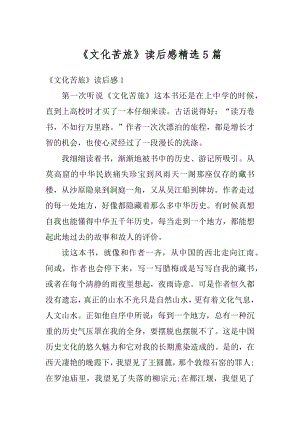 《文化苦旅》读后感精选5篇精编.docx