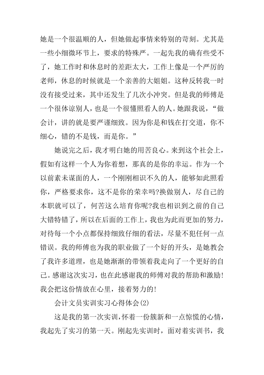 会计文员实训实习心得体会精编.docx_第2页