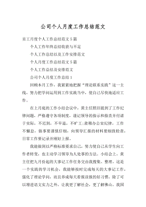 公司个人月度工作总结范文最新.docx